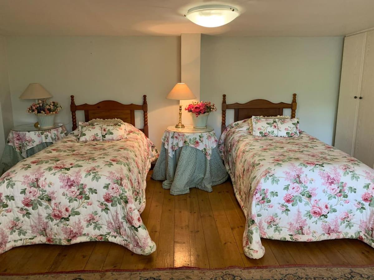 Mountain Rose Guesthouse Louis Trichardt Bagian luar foto