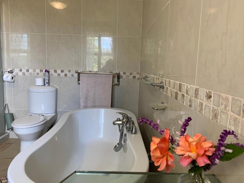 Mountain Rose Guesthouse Louis Trichardt Bagian luar foto